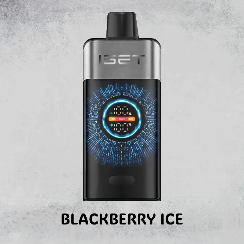 Blackberry Ice - IGET One - 12000 Puffs