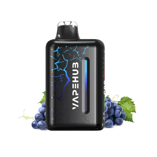 Blueberry Blast Storm - Vapehub Ultra 20000