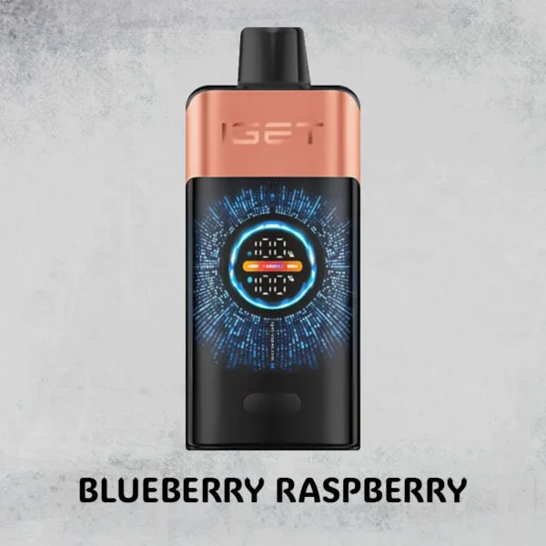Blueberry Raspberry - IGET One - 12000 Puffs