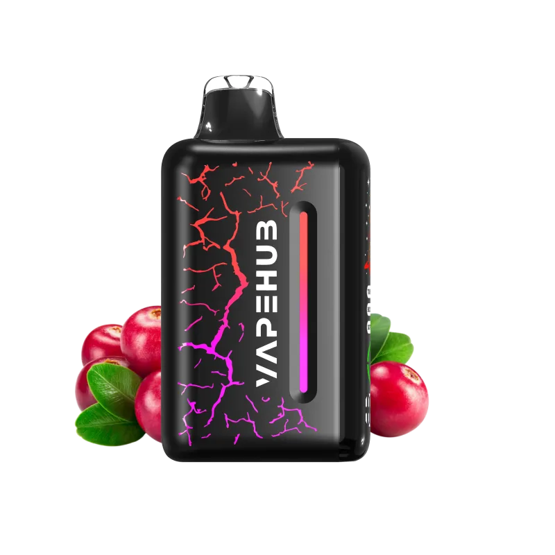 Midnight Berry Chill - Vapehub Ultra 20000