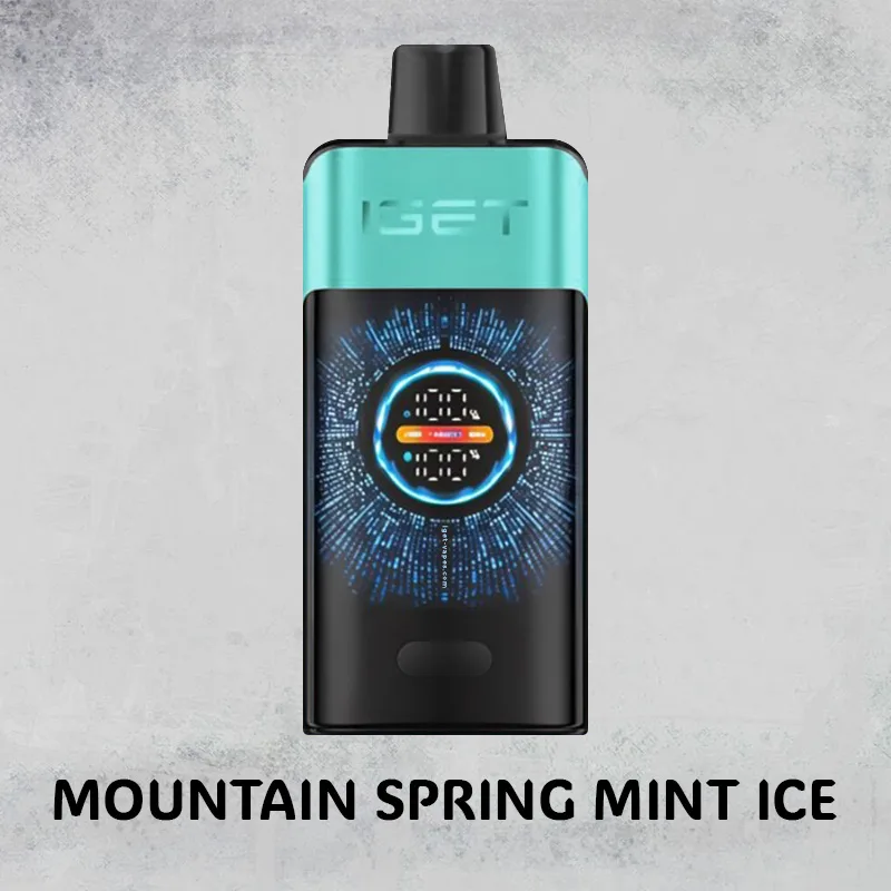 Mountain Spring Mint Ice - IGET One - 12000 Puffs