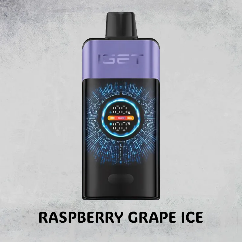 Raspberry Grape Ice - IGET One - 12000 Puffs